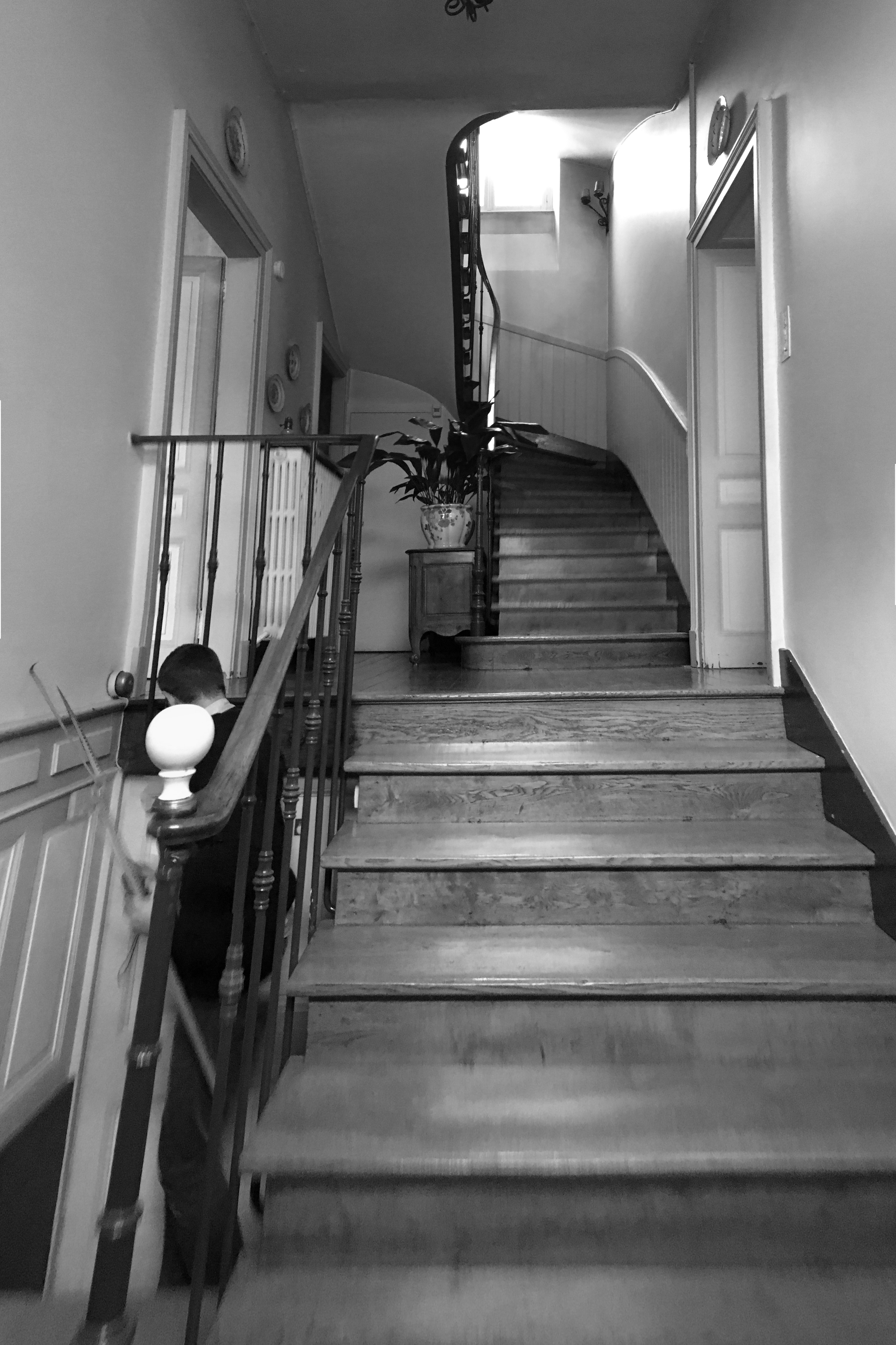 Restructuration complèt d'une maison de ville / GBMJG