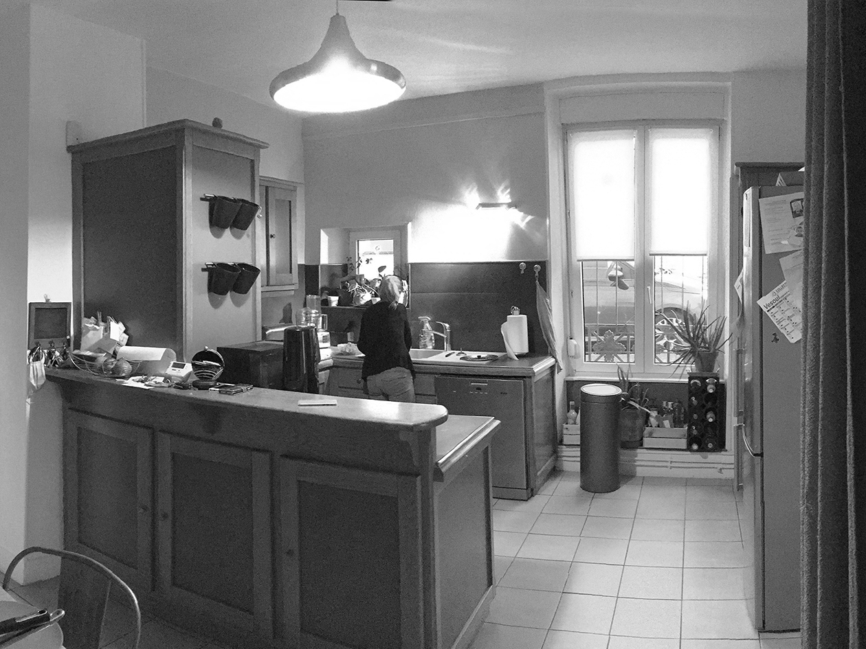 Restructuration d'une maison de ville & création de terrasses / NLM