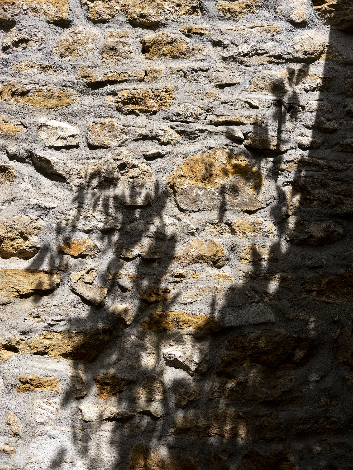 Restructuration d'une cour intérieure pour une maison de ville, création d'une terrasse et d'une pergola, aménagement paysagers / GBMJG